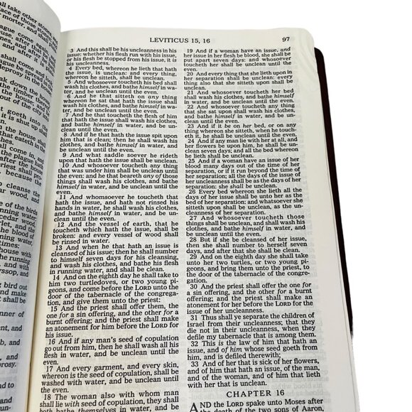 Vintage Holy Bible Old New Testaments National Publishing Co Authorized King Jam - Picture 6 of 6